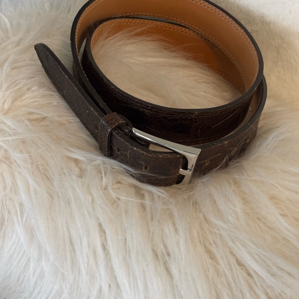 Donald J. Pliner Dark Brown Belt with Silver Buckle